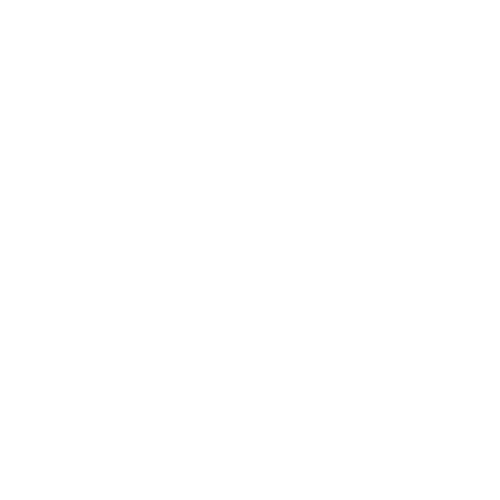 Cyber Security w