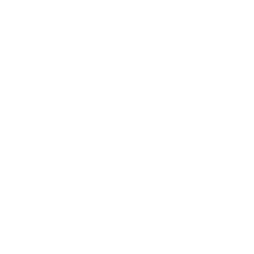 BSS Icon Cyber Security Domain White